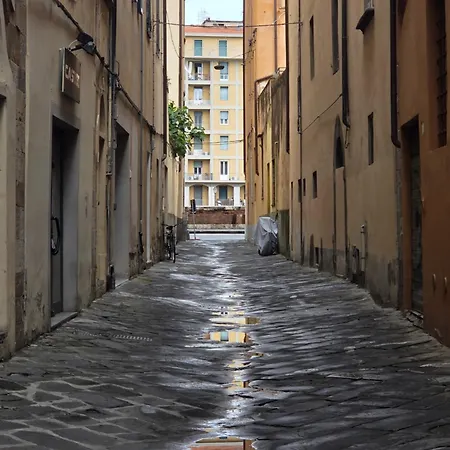 Terrazza Mossotti Pisa